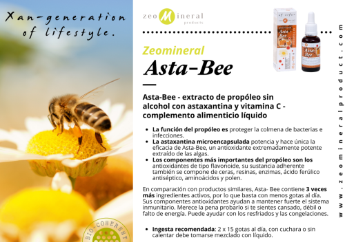 Spanyol Asta-Bee